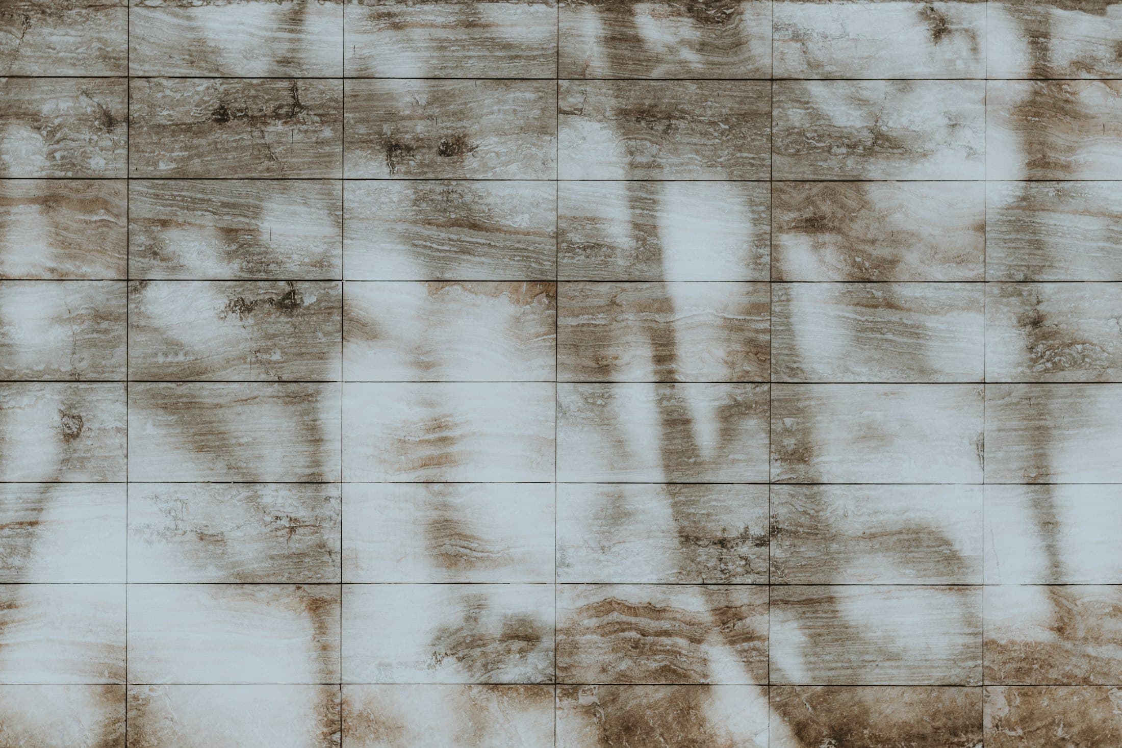 Brown and white veined marble tiles